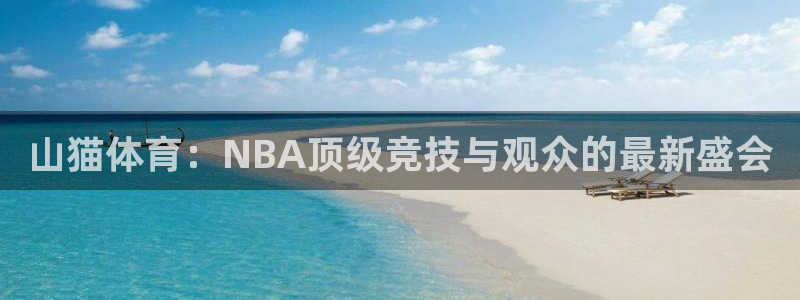 山猫体育：NBA顶级竞技与观众的最新盛会