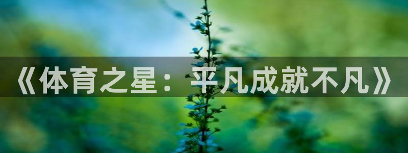 《体育之星：平凡成就不凡》