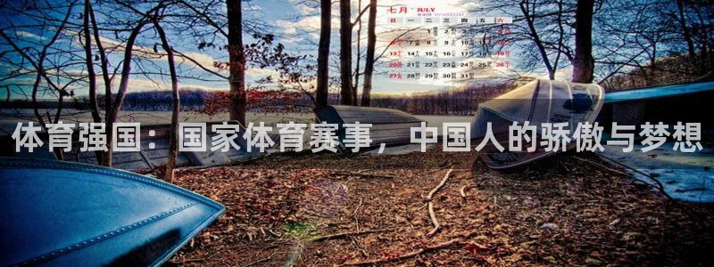 体育强国：国家体育赛事，中国人的骄傲与梦想