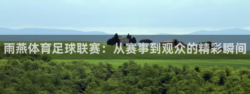 雨燕体育足球联赛：从赛事到观众的精彩瞬间