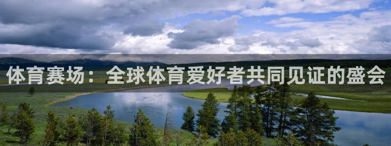 体育赛场：全球体育爱好者共同见证的盛会