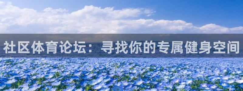 社区体育论坛：寻找你的专属健身空间