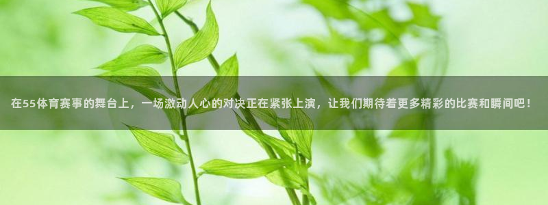 在55体育赛事的舞台上，一场激动人心的对决正在紧张上演，让我们期待着更多精彩的比赛和瞬间吧！