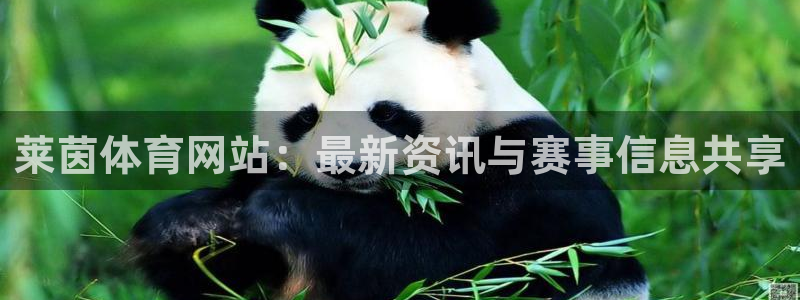 莱茵体育网站：最新资讯与赛事信息共享