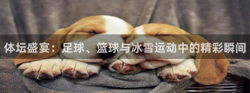 体坛盛宴：足球、篮球与冰雪运动中的精彩瞬间