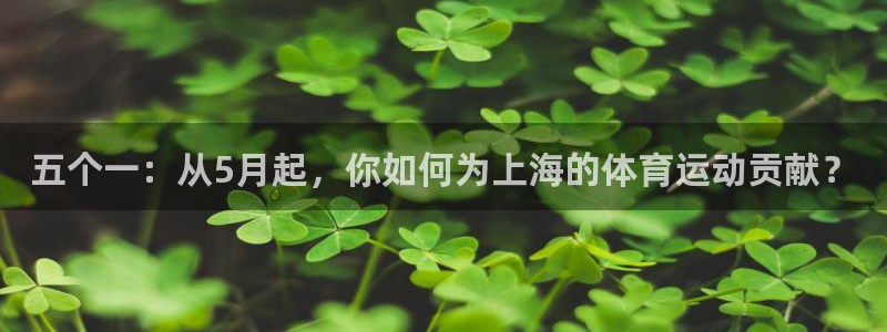 五个一：从5月起，你如何为上海的体育运动贡献？