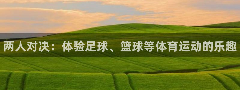 两人对决：体验足球、篮球等体育运动的乐趣